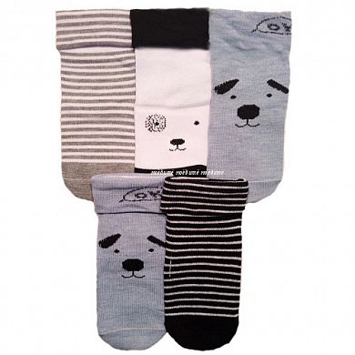 BFL ����� �� ��������� � ��������� � ��������� � �����